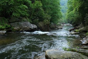 chattooga river ga