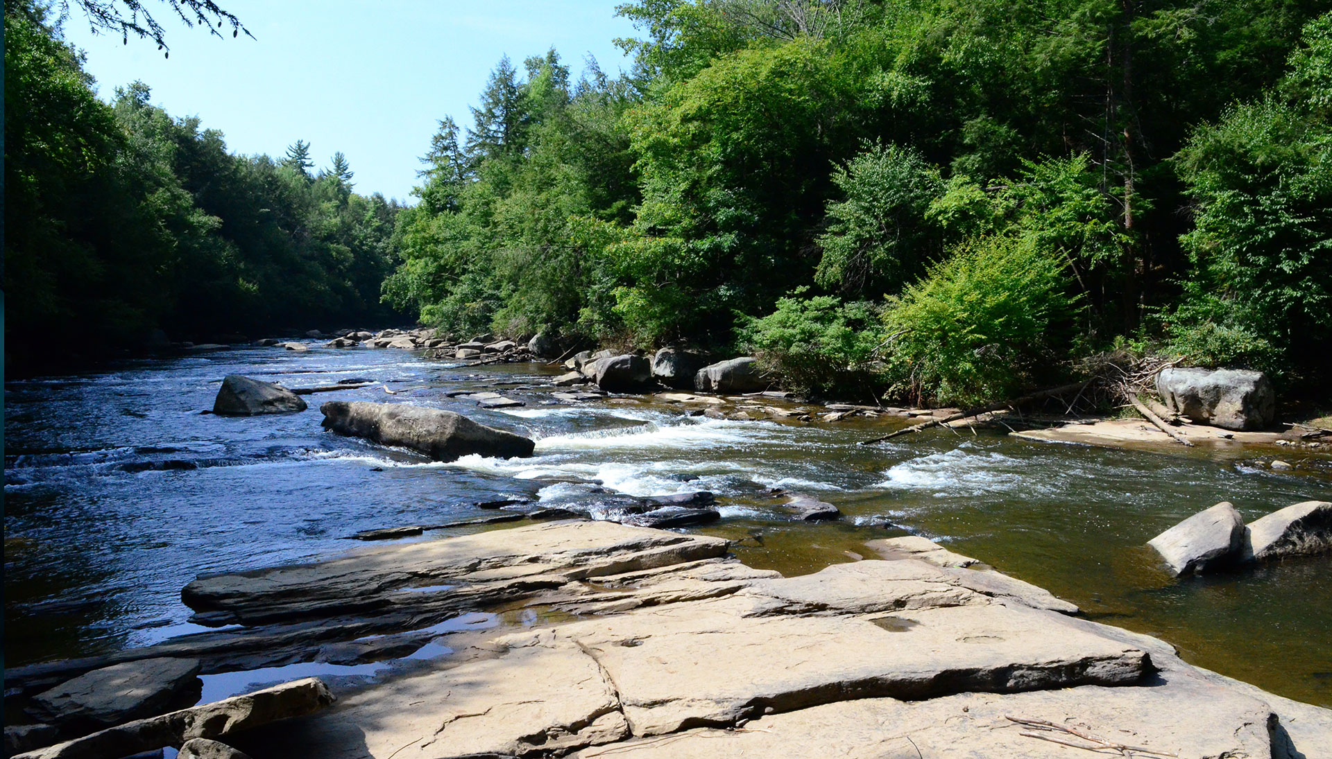 Swallow Falls Maryland